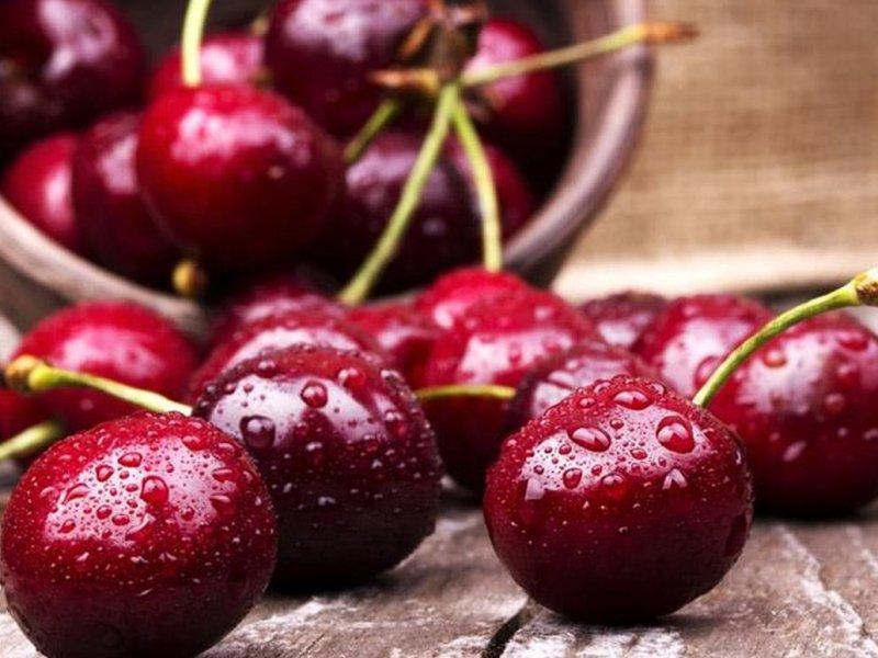 Вишня купить саженцы из питомника в Гусь-Хрустальном